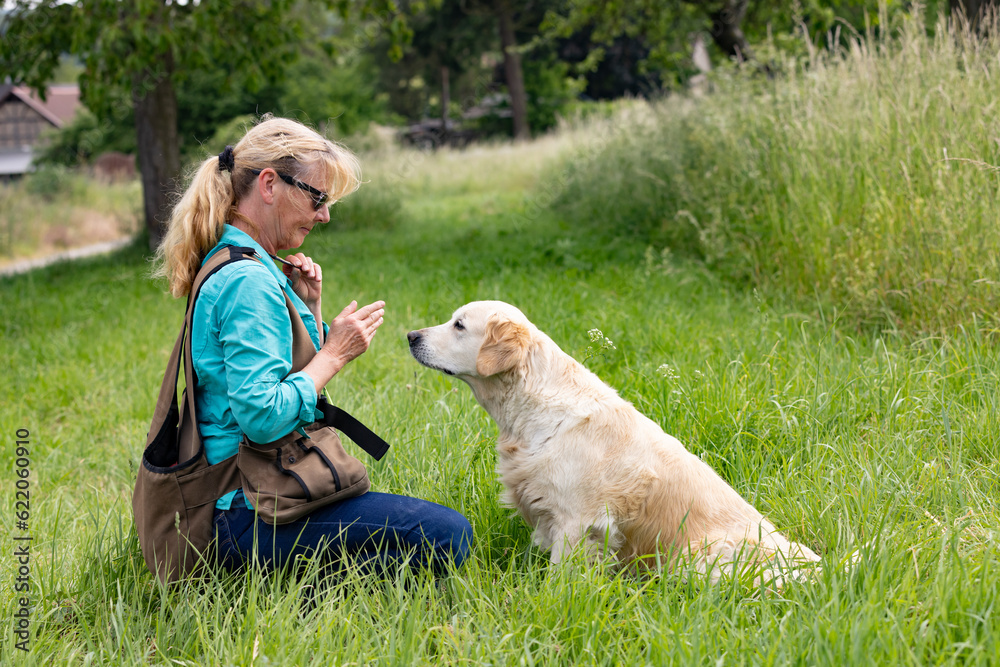 Female Dog owner plays with her Golden retriever Female Dog owner plays with her Golden retriever