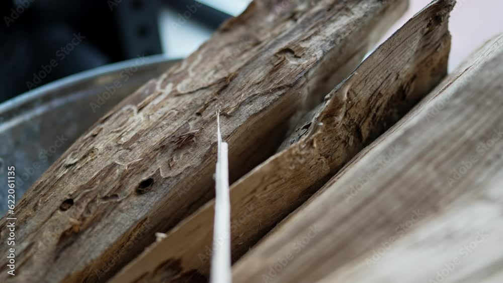 Close-up chopped firewood outdoors with no people. Pile of cut wooden material gathered for fuel Close-up chopped firewood outdoors with no people. Pile of cut wooden material gathered for fuel