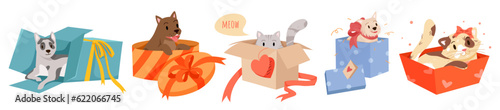 Cartoon isolated adorable pets playing, sitting and hiding in present cardboard boxes with ribbons and bow, funny fluffy animals to adopt. Happy cats and dogs in gift boxes set vector illustration