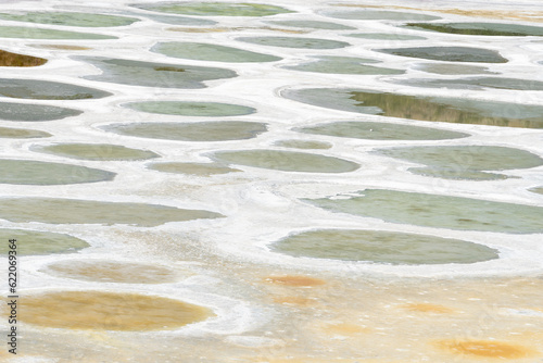 Close up of circular mineral deposits in Osoyoos Spotted Lake
