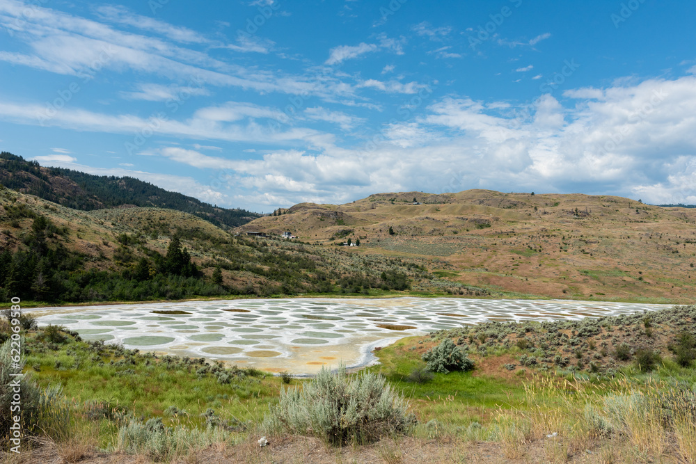 Fototapeta premium Osoyoos Spotted Lake