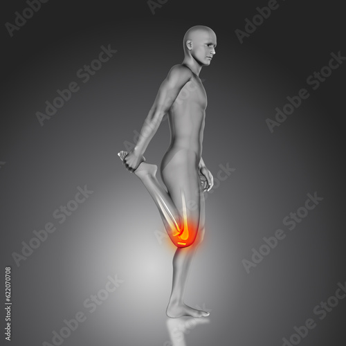 3D render of a male medical figure with partial skeleton in leg stretch pose and knee highlighted