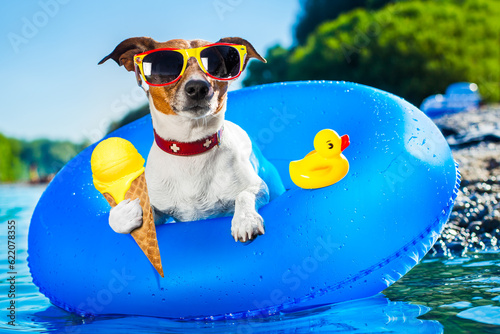 dog on  blue air mattress  in water refreshing on summer vacation holidays at the beach or river, eating ice cream in cone waffle © Designpics