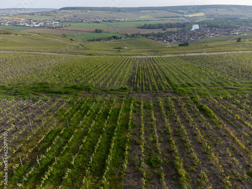 Panoramic aerial view on green premier cru champagne vineyards and fields near village Hautvillers and  Cumieres and Marne river valley  Champange  France