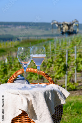 Tasting of premier cru sparkling rose wine with bubbles champagne with view on green pinot noir, meunier vineyards of Hautvillers, France. photo