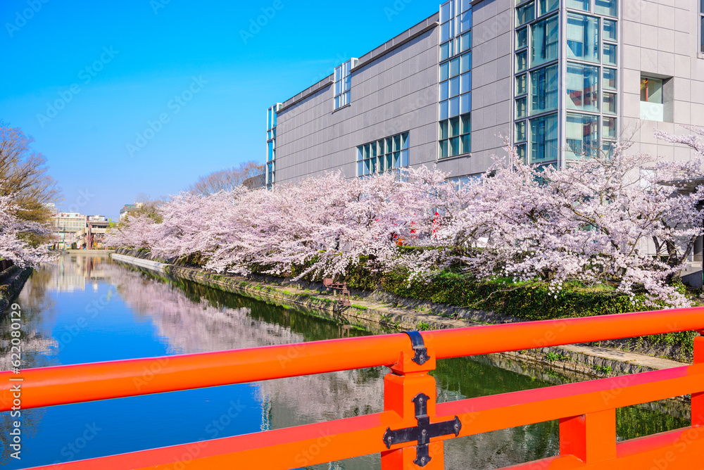 Kyoto, Japan at the cherry blossom lined Okazaki Canal in the spring season. Kyoto, Japan at the cherry blossom lined Okazaki Canal in the spring season.