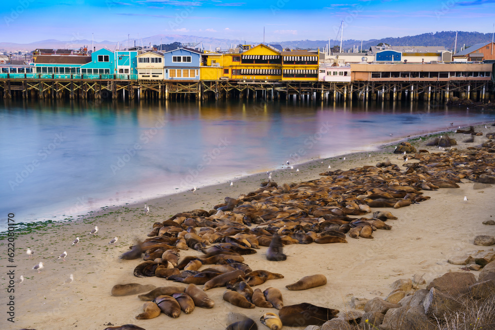 Fototapeta premium Fisherman's Wharf Scenic - Monterey, California