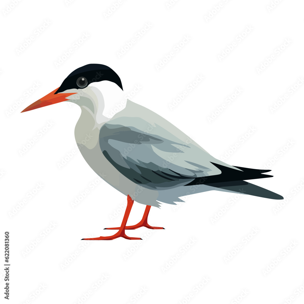 Obraz premium Cute seagull flying over tropical water branch