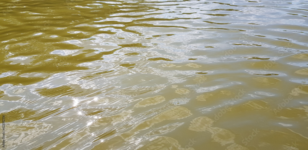 Wavy surface of water in a lake on a hot day (macro, angle, texture).
Wavy surface of water in a lake on a hot day (macro, angle, texture).