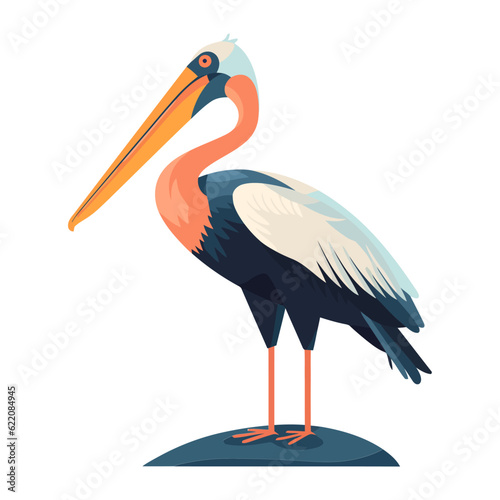 Flying pelican with feathered beak