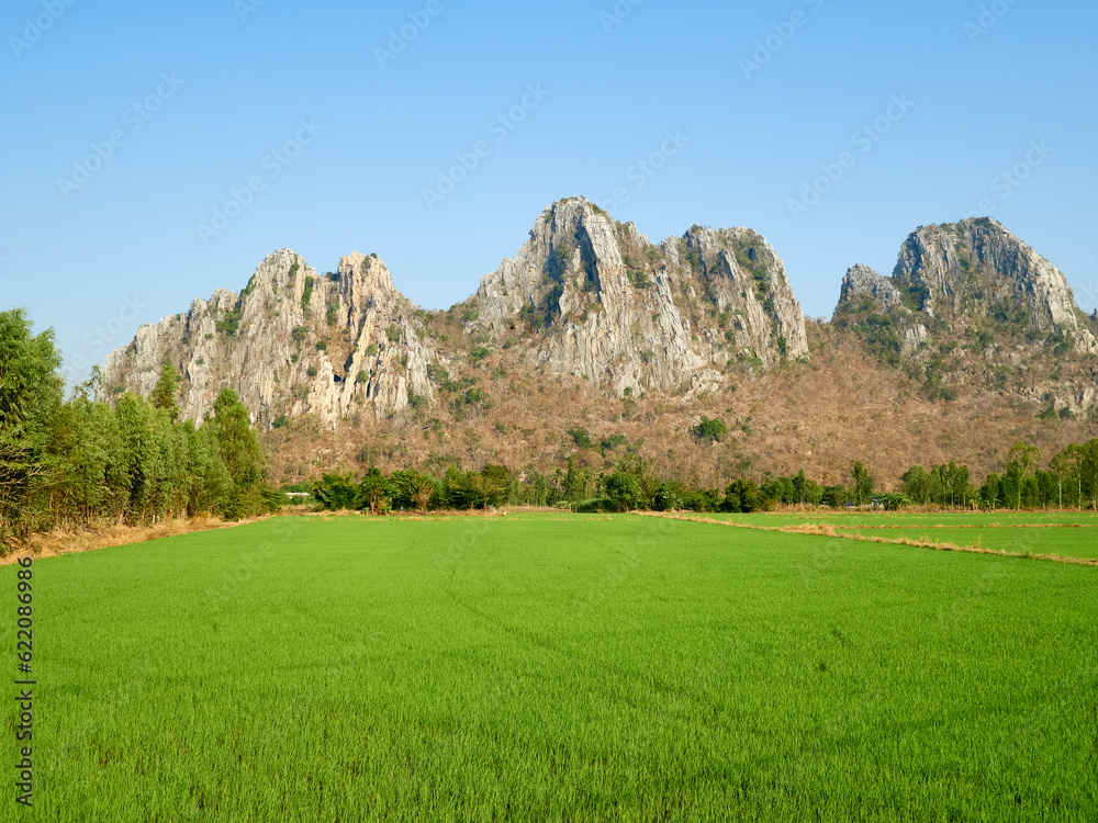 A green paddy field located at the countryside, towered by Khao No Khao Kaeo a limestone hill.