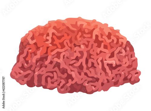 ground meat ingredient fresh icon
