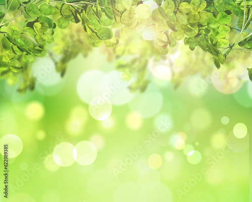 3D render of green leaves on a sunny bokeh lights background