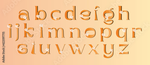 Orange Lowercase letters, flowers alphabet letters font