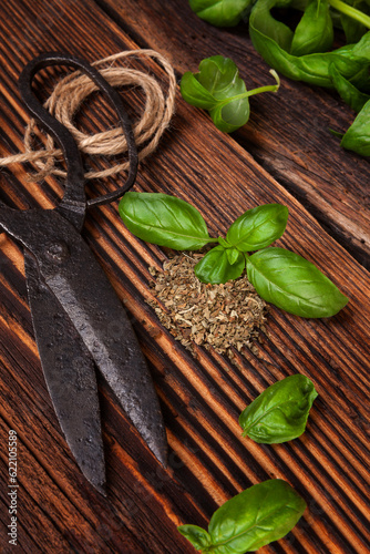 Fototapeta Naklejka Na Ścianę i Meble -  Aromatic culinary herbs, basil. Fresh and dry basil herb with vintage scissors on rustic wooden background.