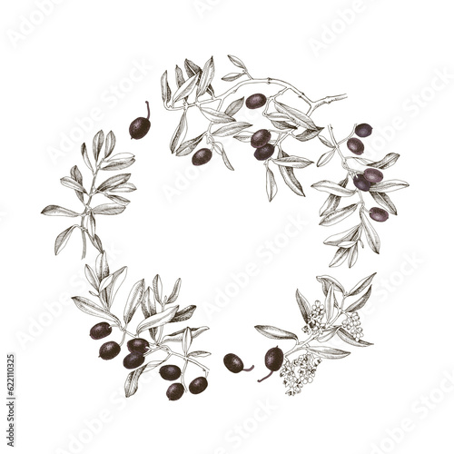 Monochrome brown olives branch wreath.