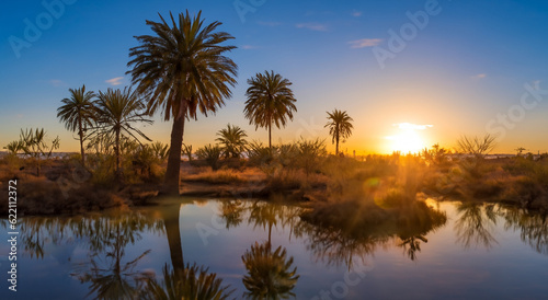 amazing oasis in the middle of the desert with a beautiful sunset