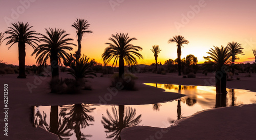 beautiful oasis with a water hole in the middle of the desert in high resolution and sharpness