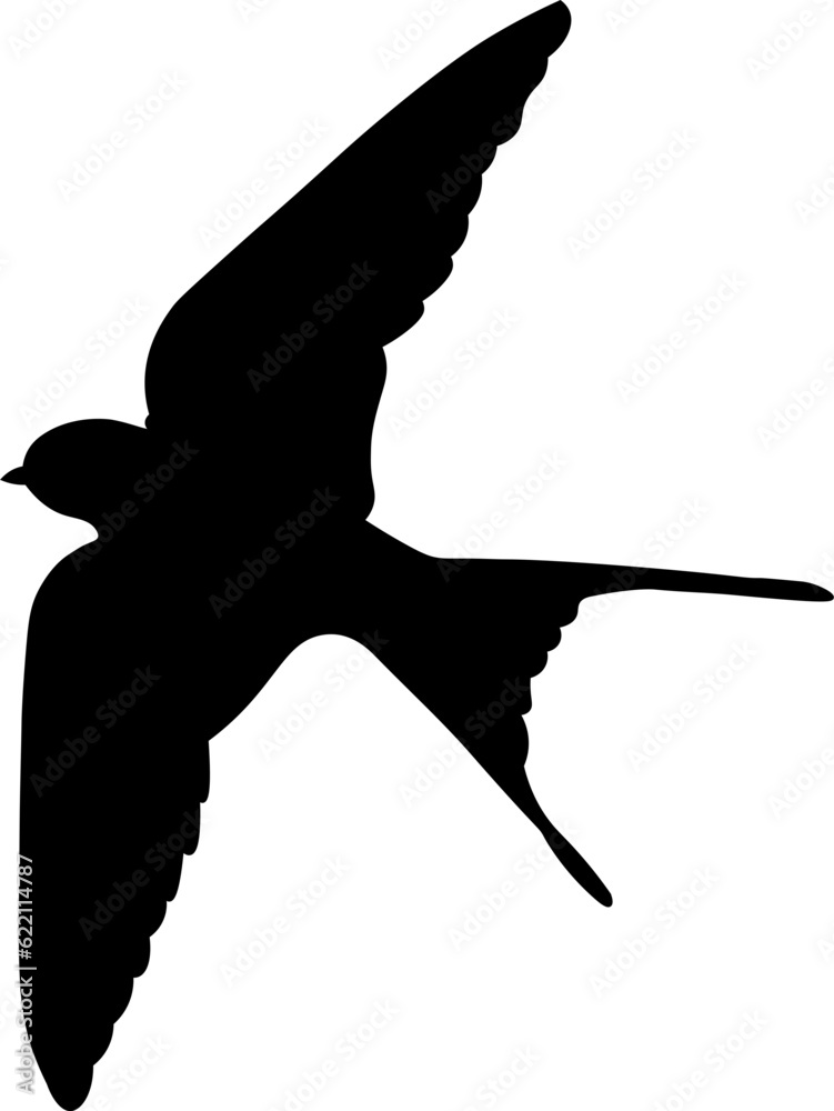 Swifts Bird Silhouette Illustration Vector
Swifts Bird Silhouette Illustration Vector