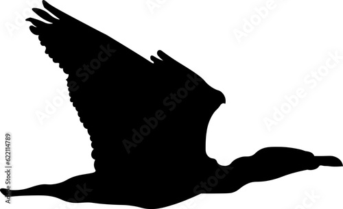 Flying Bird Silhouette Illustration Vector 