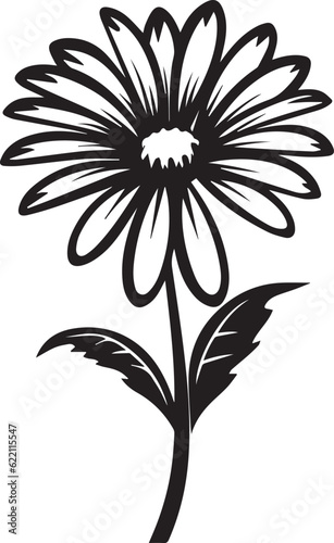 Oxeye Daisy Black And White, Vector Template Set for Cutting and Printing