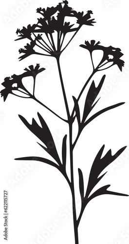Verbena Black And White, Vector Template Set for Cutting and Printing