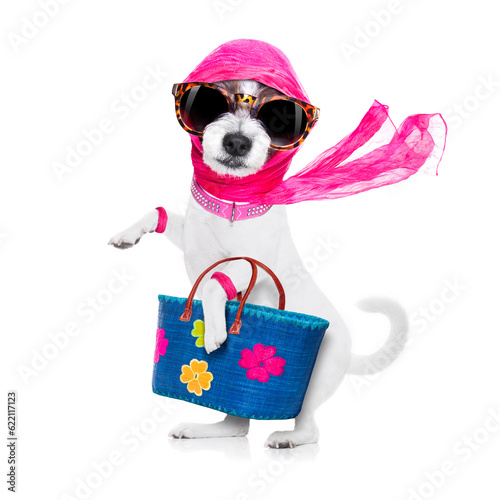 crazy and silly terrier dog diva lady with shopping bag, isolated on white background © Designpics