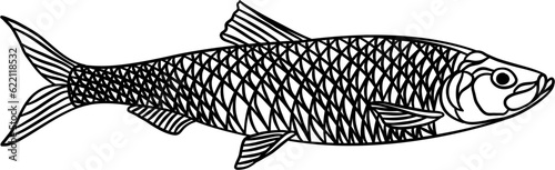 Gold Fish Outline Illustration Vector