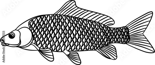 Gold Fish Outline Illustration Vector