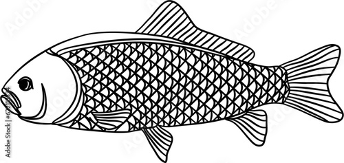 Gold Fish Outline Illustration Vector