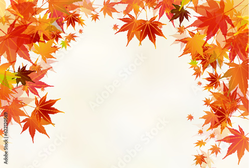 紅葉　もみじ　秋　背景	