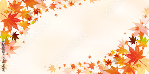 紅葉　もみじ　秋　背景	