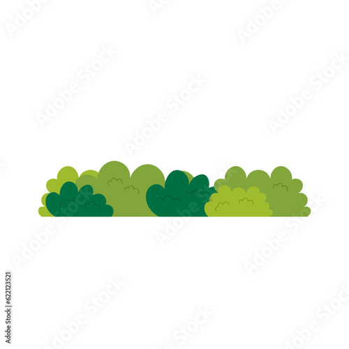 Bush Illustration Vector