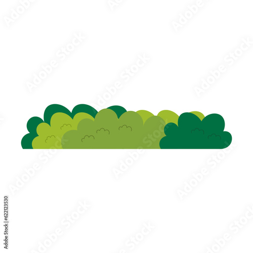 Bush Illustration Vector