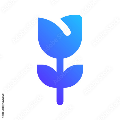 macro gradient fill icon