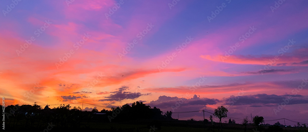 Fototapeta premium sunset sky have orange and pink color with trees and power cable silhouette panorama view