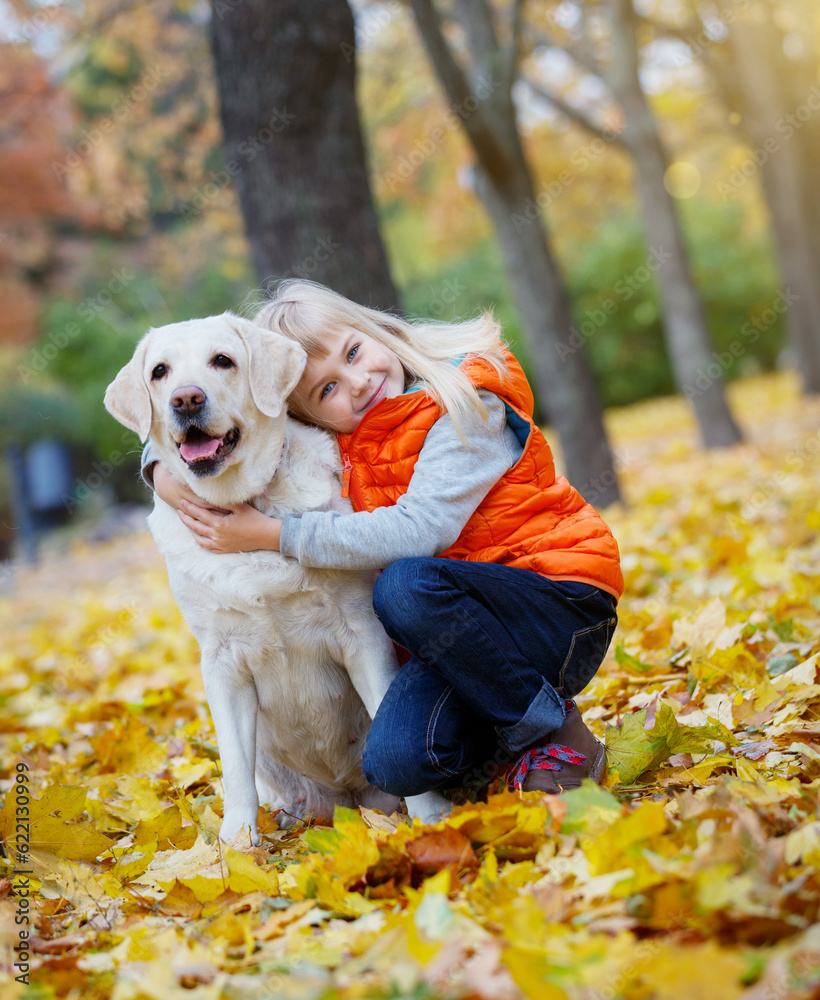 A beautiful girl and her dog Labrador retriever posing in autumn park. Yellow and orange leaves around.