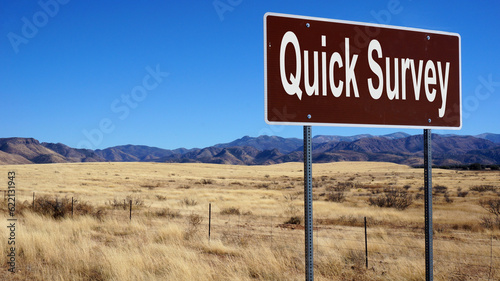 Quick Survey road sign with blue sky and wilderness