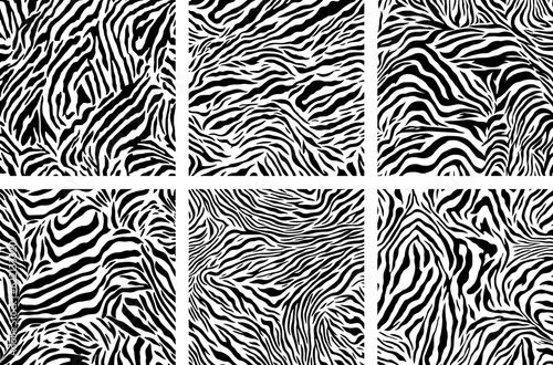 African zebra camouflage print collection. Black-and-white zebra skin pattern