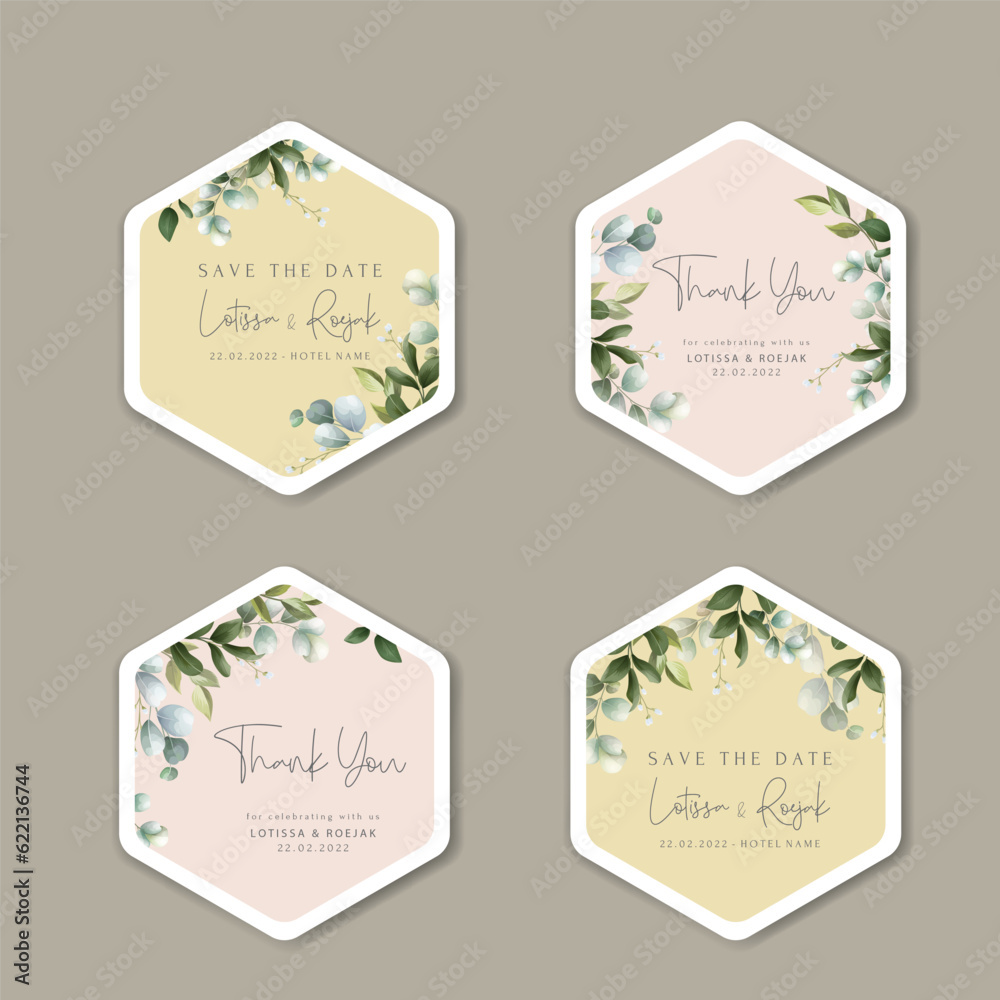 beautiful hand drawn eucalyptus leaves label collection