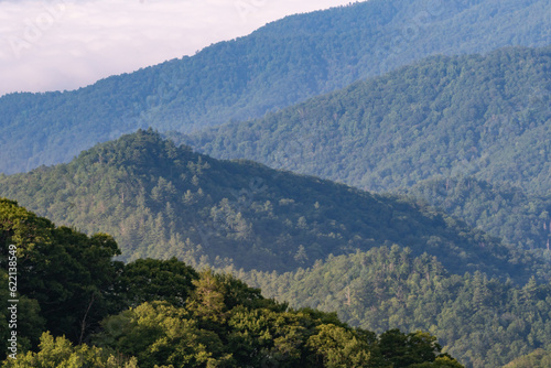 multiple peaks and ridges of blue misty mountains, each covered in a thick dense cloud forest, once timber land for logging companies, it is now part of an extended contiguous woodland range