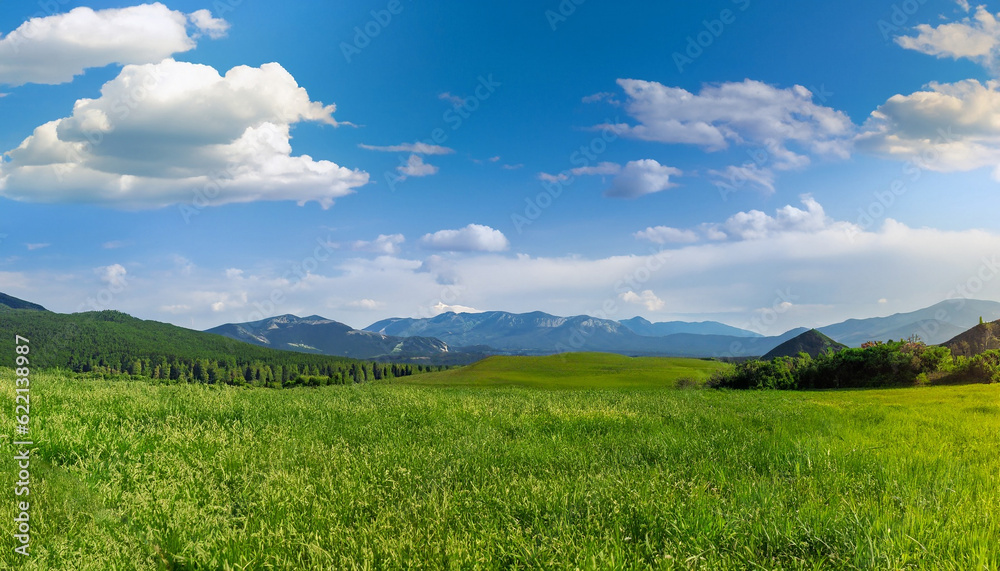 Panoramic natural landscape with green grass field, blue sky with clouds and and mountains in background. Panorama summer spring meadow.