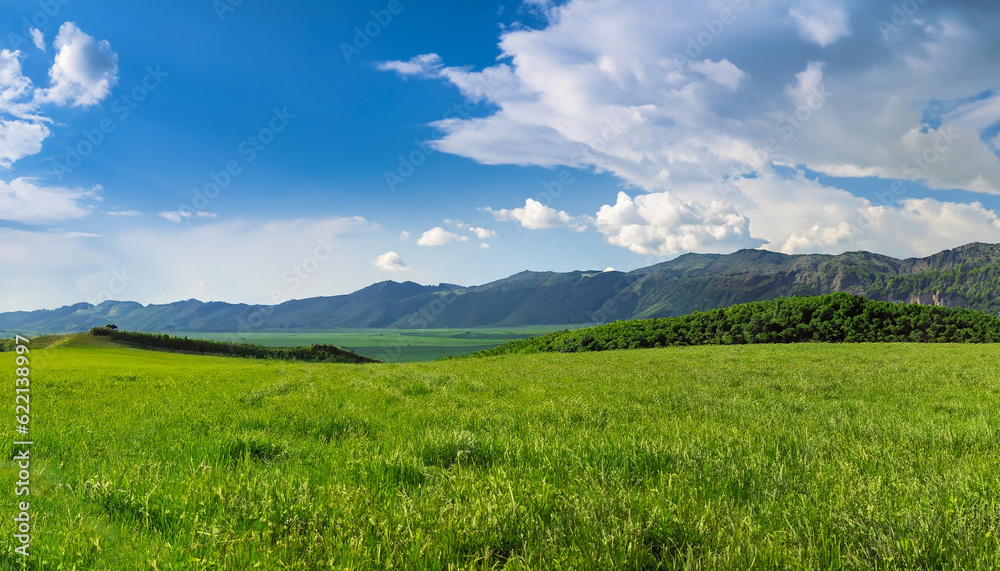 Panoramic natural landscape with green grass field, blue sky with clouds and and mountains in background. Panorama summer spring meadow.