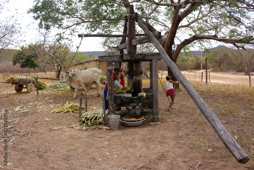 Obraz premium Moedor de Cana manual, Engenho de Cana de Açucar. Bahia Brasil