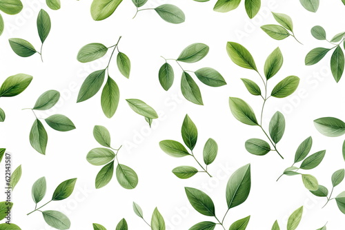 green leaves on white background © waranyu