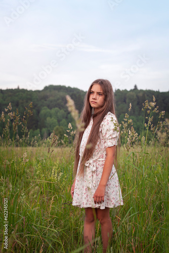 Portrait of a beautiful girl with long hair in a summer field