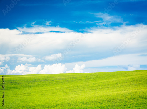 Summer Landscape. Wavy Green Field on the Background of Beautiful Clouds and Blue Sky. Peaceful and Calm Scenery. Toned Photo with Copy Space.