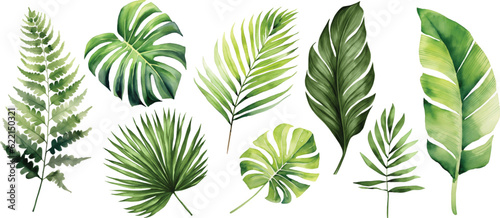 Canvastavla Exotic plants, palm leaves, monstera on an isolated white background, watercolor