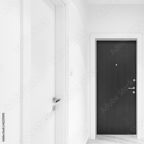 Closed metal door in the flat corridor.