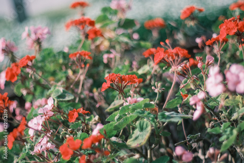 福岡天神の街並み